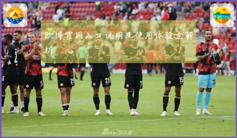 欧博官网入口说明及使用体验全解析