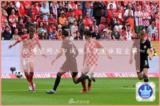 欧博官网入口说明及使用体验全解析